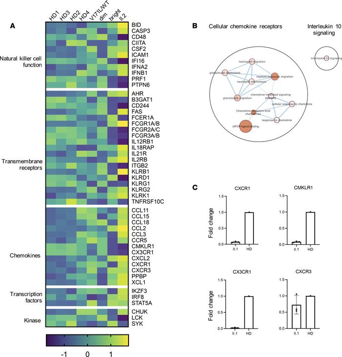Immune profile of enriched primary NK cells demonstrates less mature NK ...