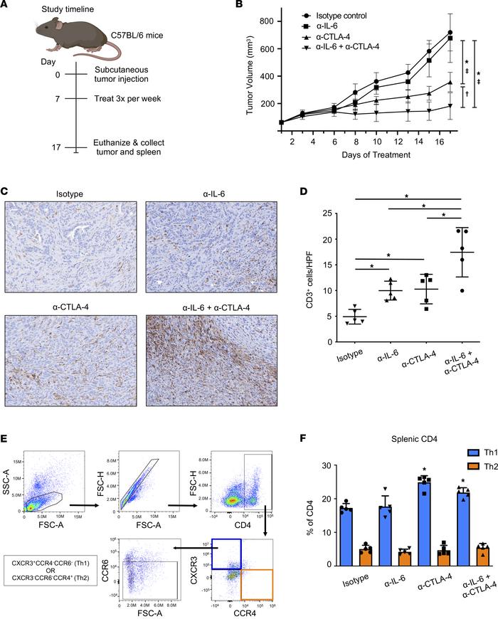 Combined blockade of IL-6 and CTLA-4 significantly inhibits tumor growth...