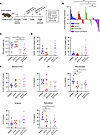 Combined blockade of IL-6 and CTLA-4 significantly inhibits tumor progressi