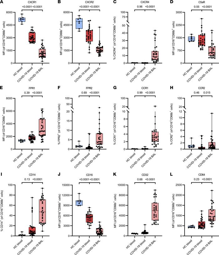 Phenotypical characterization of chemoattractant and Fcγ receptors on BA...