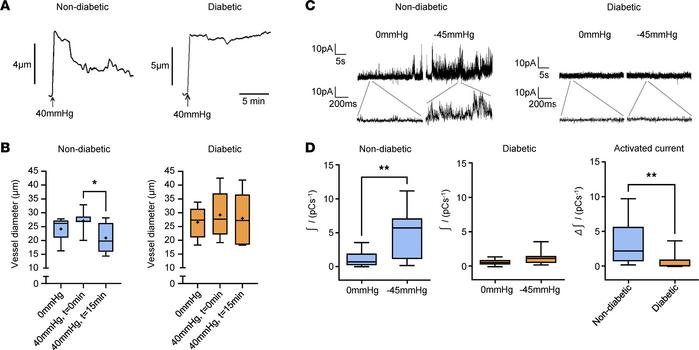Defective myogenic signaling in retinal arterioles from diabetic rats of...