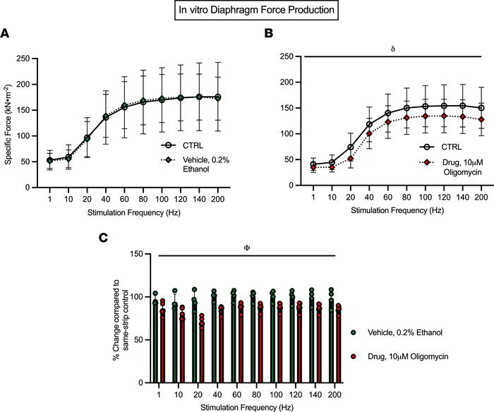 Inhibition of mitochondrial oxidative phosphorylation acutely lowers in ...