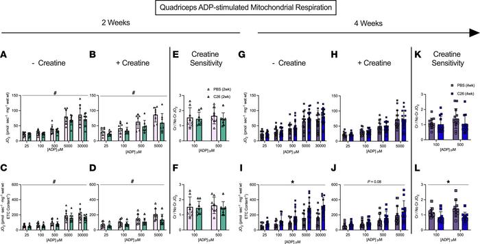 Complex I–supported mitochondrial respiration in quadriceps muscle of C2...