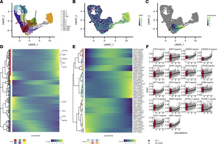 Trajectory inference of tonsillar B cell scRNA-seq models transcriptiona...
