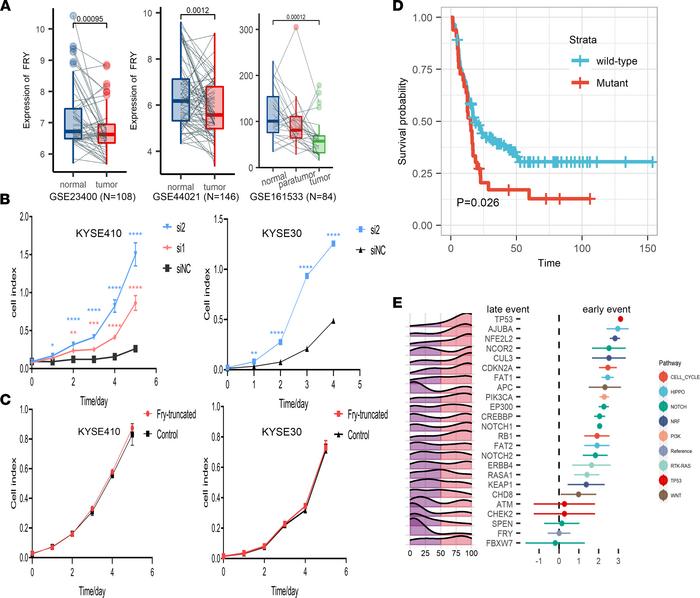 Molecular characterization of mutational driver FRY.
(A) FRY mRNA levels...