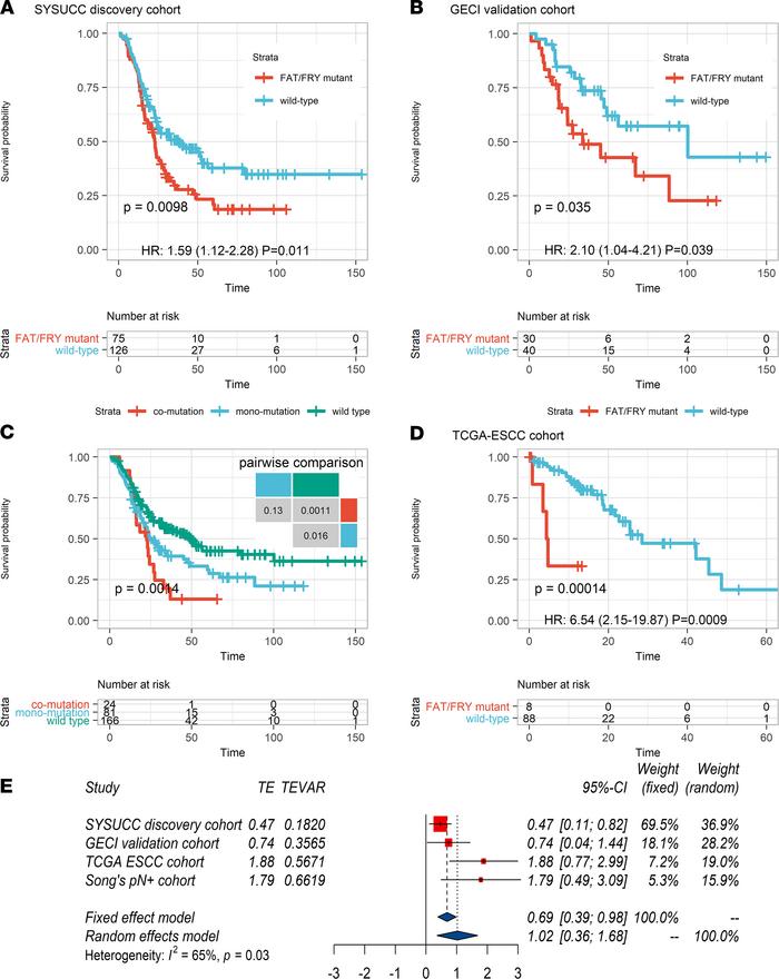 Identification of a 3-gene signature associated with shorter OS for pati...