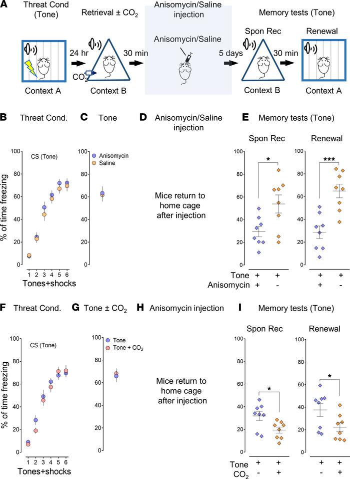 CO2 inhalation during memory retrieval potentiates the effect of the ani...