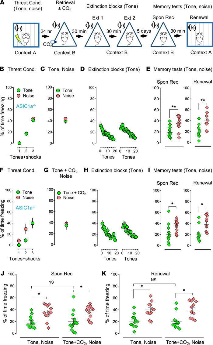 The effect of CO2 inhalation on selective memory retrieval is ASIC1a dep...
