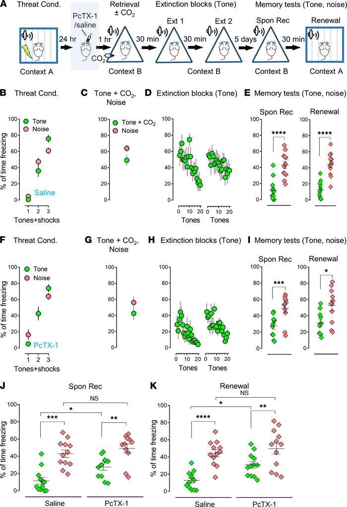 Blockage of ASIC1a in the amygdala reduces the CO2 effects on selective ...