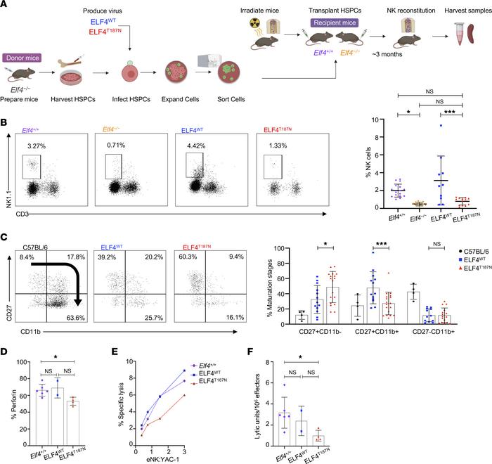 Reduced NK cell frequency is accompanied by impaired NK cell function an...