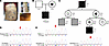 Clinical phenotype and genotype of an individual with presumed NKD.