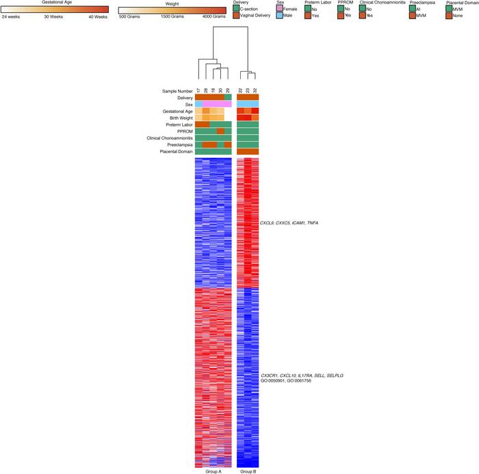 Nonclassical monocyte gene expression clusters by GA.
Nonclassical monoc...