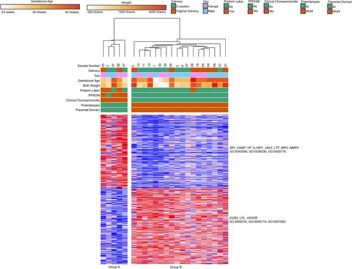 Gene expression of classical monocytes from preterm dyads cluster based ...