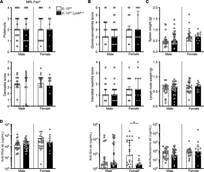 Myeloid IL-10 deficiency does not impact clinical or immunological manif...