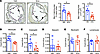 Amlexanox reduces circulating monocytes and lesion macrophages.