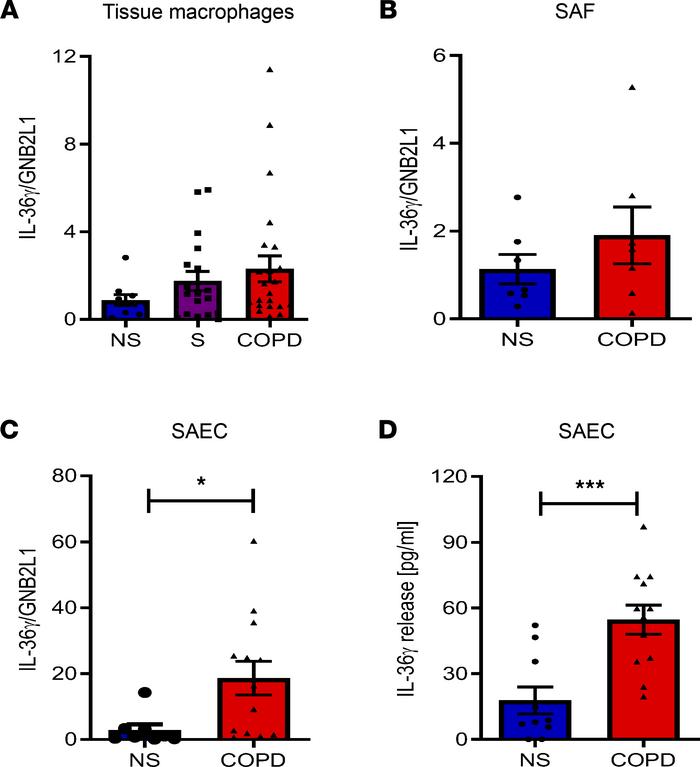 Small airway epithelial cells express and release IL-36γ in COPD.
(A–C) ...