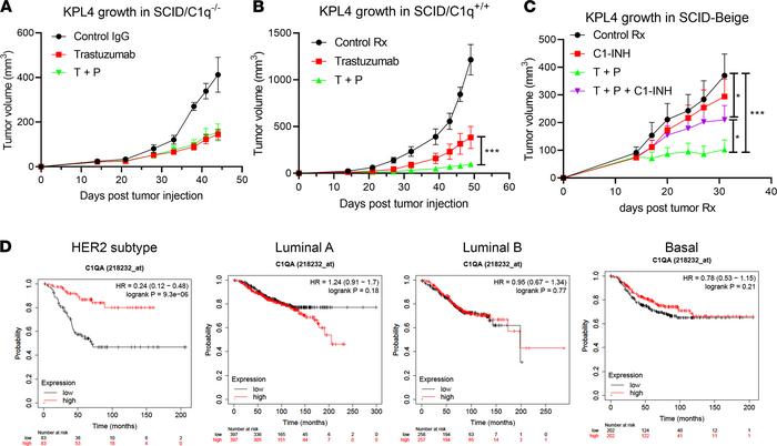 The significant role of classical complement pathway activation in T+P t...