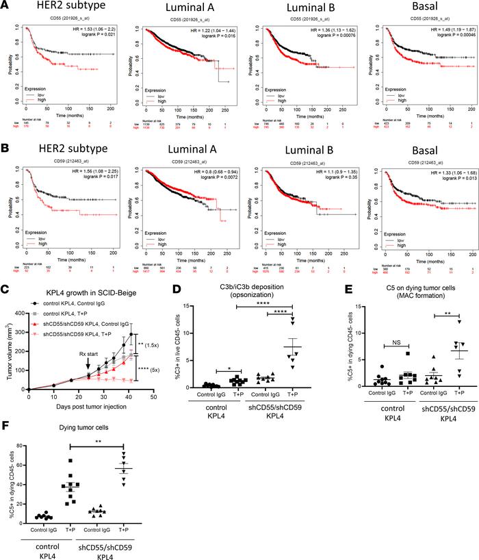 Inhibition of complement-regulatory proteins CD55 and CD59 sensitizes HE...