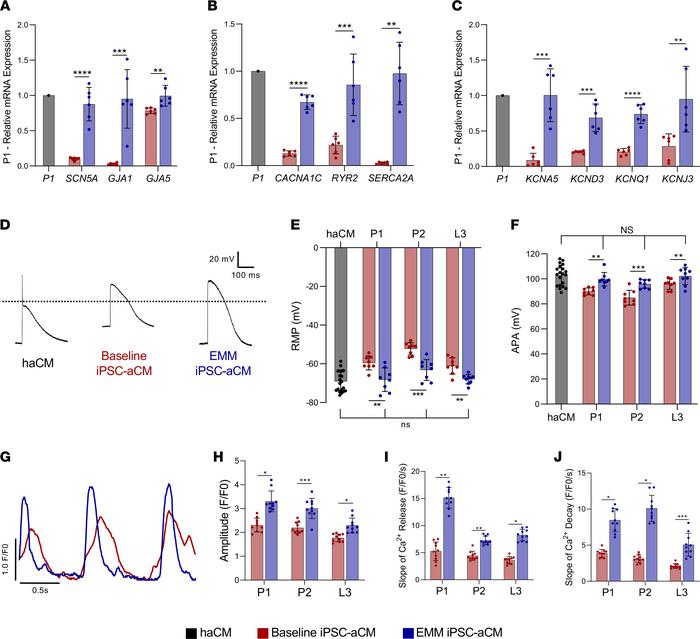 EMM enhances the EP, molecular, and calcium kinetic parameters of iPSC-a...
