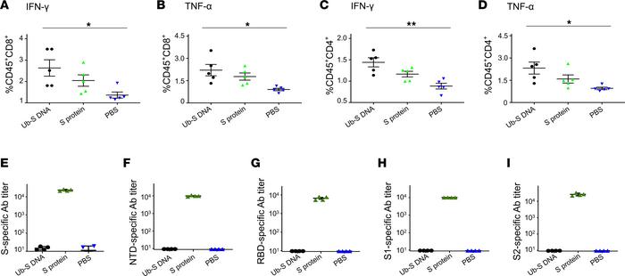 SARS-CoV-2 Ub-S DNA vaccine induced strong T cell responses without anti...