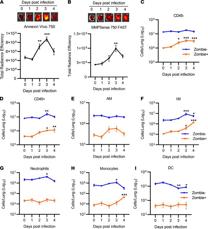 Temporal dynamics of cell death in lung cell populations following infec...