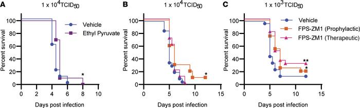 FPS-ZM1 treatment improves survival in SARS-CoV-2–infected mice.
K18-hAC...