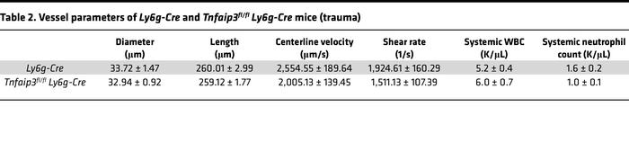 Vessel parameters of Ly6g-Cre and Tnfaip3fl/fl Ly6g-Cre mice (trauma)