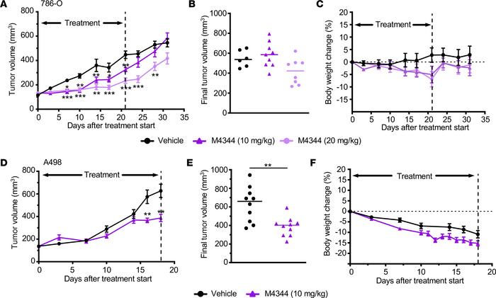 Therapeutic activity of M4344 in ccRCC xenografts.
(A–C) Tumor growth cu...