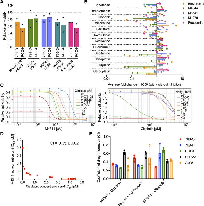 Chemotherapeutic synergies in ccRCC cells.
(A) Effects of the indicated ...