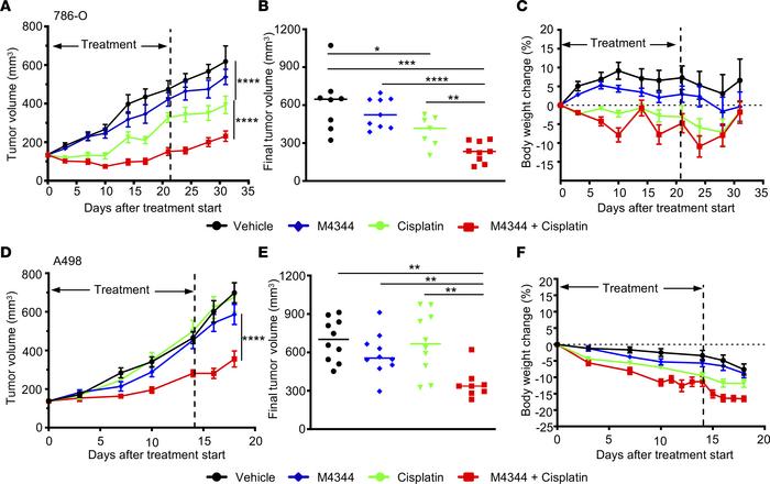 In vivo therapeutic efficacy of M4344 plus cisplatin in ccRCC xenografts...