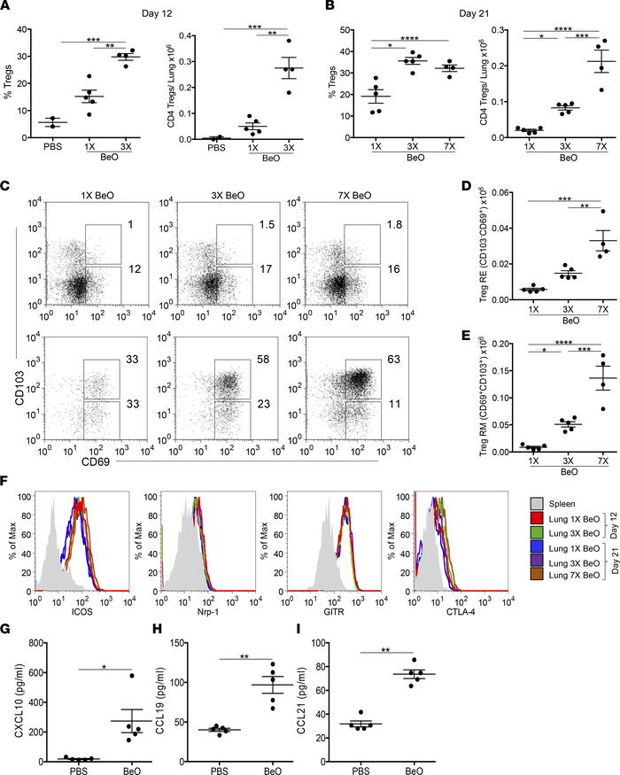 BeO exposure induces a dose-dependent increase in tissue-resident Tregs ...