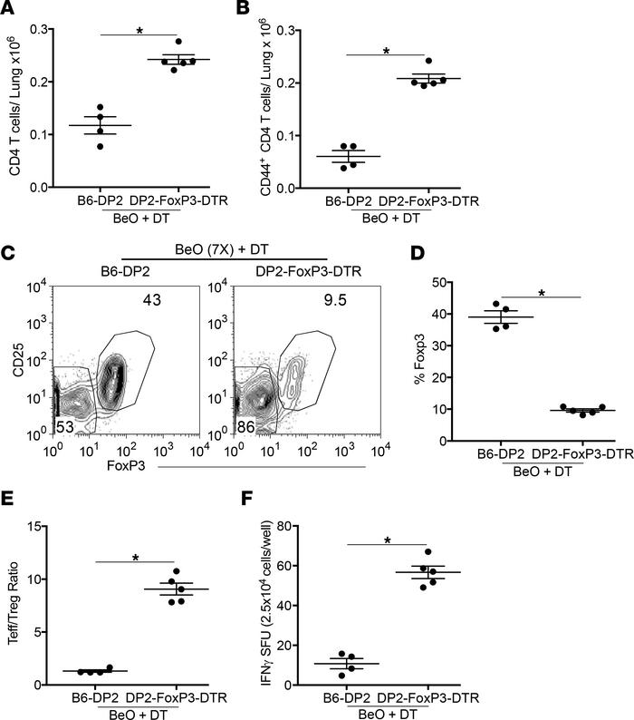 Depletion of Tregs in HLA-DP2-FoxP3-DTR  Tg mice alters the Teff/Treg ra...