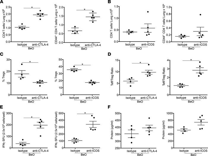 Tregs suppress BeO-induced inflammation through CTLA-4 and ICOS.
(A and ...