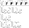 Increased frequency of antigen-specific Tregs correlates with reduced IFN-γ