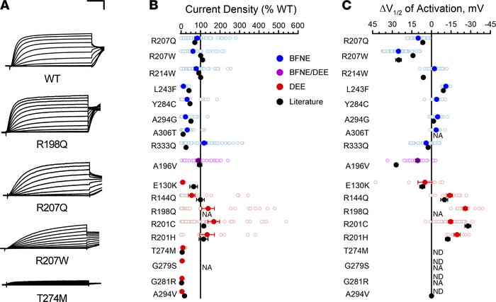 Functional properties of homozygous KCNQ2 variants determined by automat...