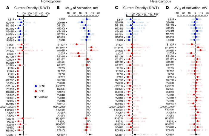 Functional properties of epilepsy-associated KCNQ2 variants.
(A) Average...
