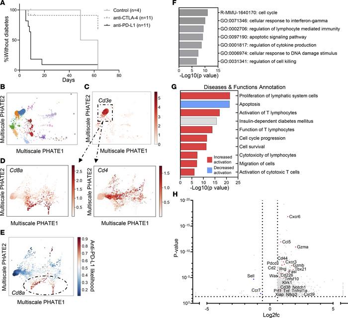 Single-cell RNA-Seq of CD8+ T cells from anti–PD-L1 versus anti–CTLA-4 m...