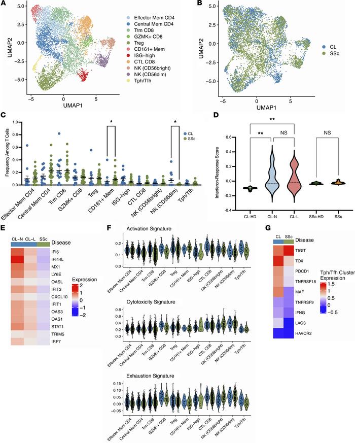 Integration of cutaneous lupus and systemic sclerosis single-cell data s...