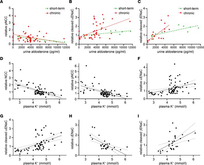 Correlation of NCC and ENaC to urine aldosterone and plasma potassium le...