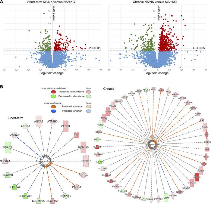 Large-scale proteomic profiling of short-term and long-term effects of h...