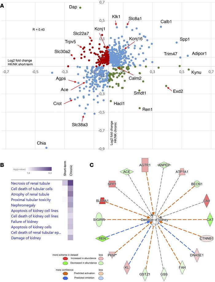 Proteomic profiling identifies proteins differentially regulated followi...