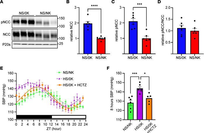 NCC is increased following low dietary K+ feeding and is responsible for...