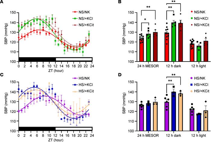 Chronic high dietary K+ feeding elevates BP.
Systolic blood pressure (SB...