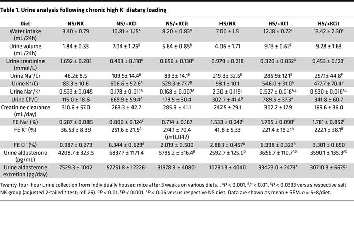 Urine analysis following chronic high K+ dietary loading