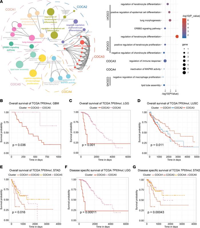 JCI Insight - Molecular profiling identifies distinct subtypes across ...