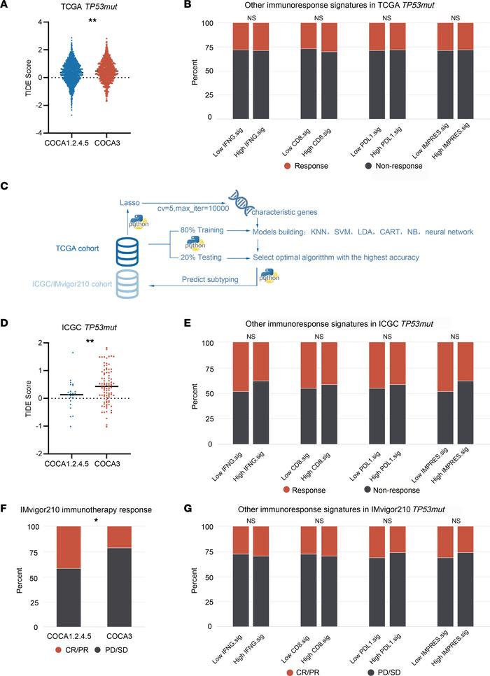 COCA subtyping predicted immunotherapeutic response.
(A) COCA3 subtype e...