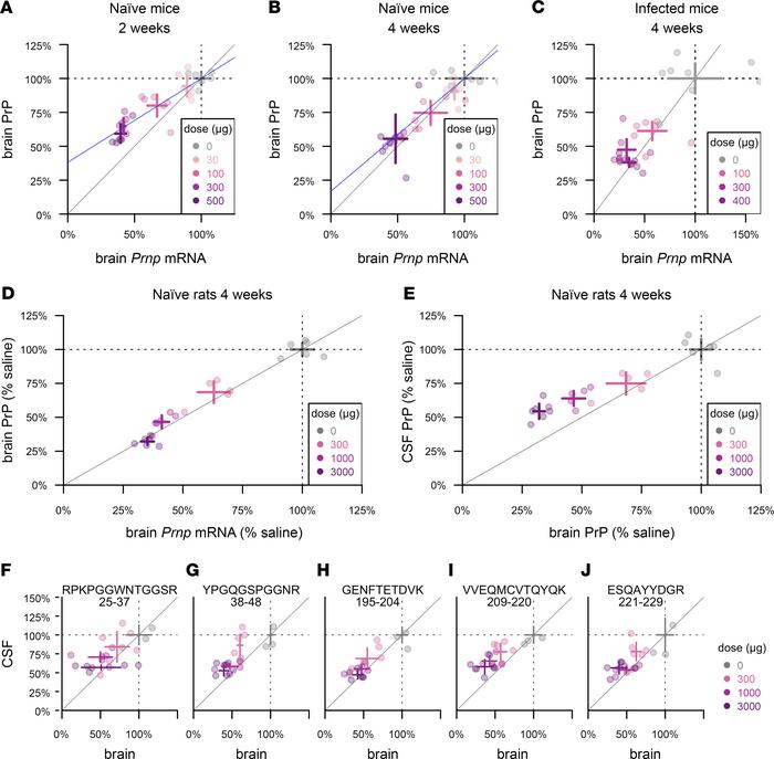 Pharmacodynamic effect of PrP RNA-targeting therapy.
(A and B) Whole-hem...