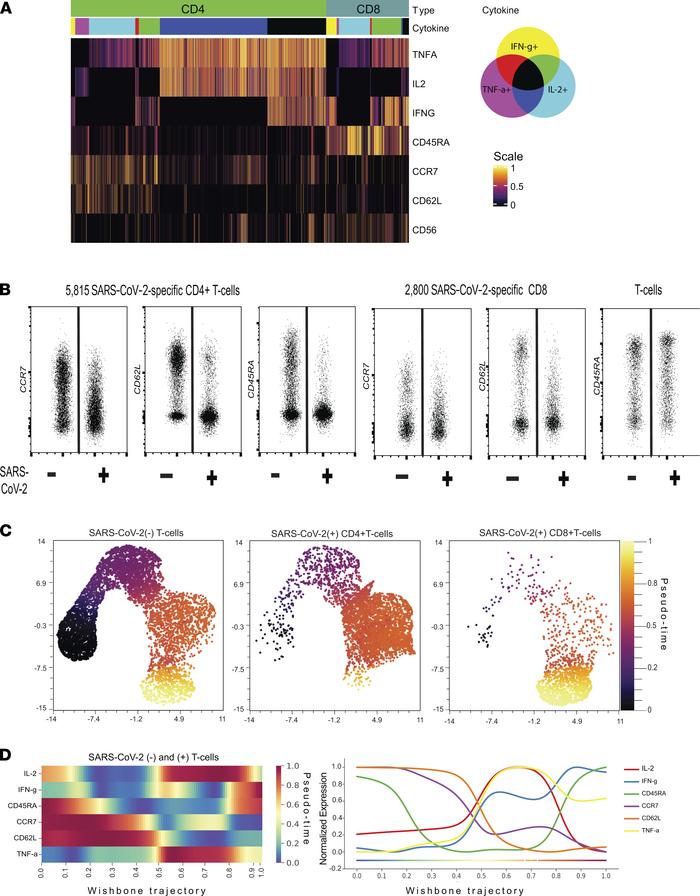 Phenotypic and evolutionary traits of vaccine-induced SARS-CoV-2–specifi...