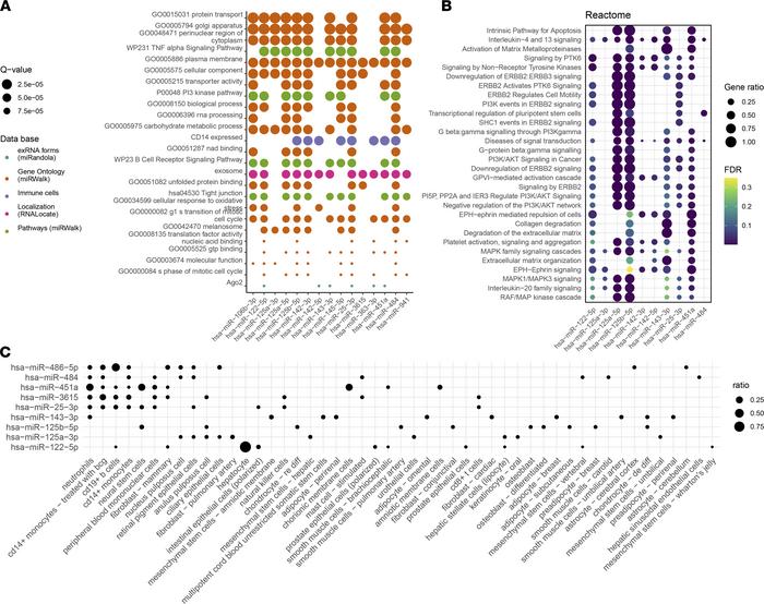 miRNA enrichment and localization analysis indicate the role of the most...