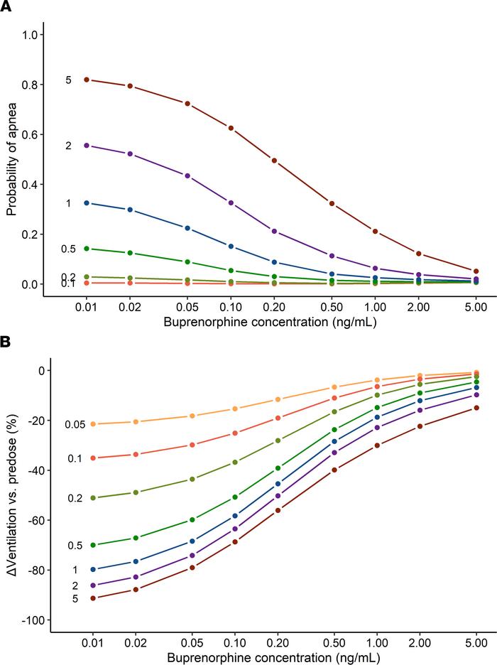 Results of simulation study: plasma concentrations, receptor binding, an...